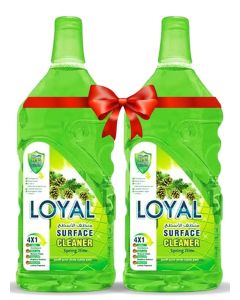 Surface Cleaner 2x800ML Spring Time