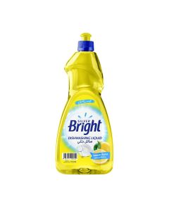 SB DISHWASHING LIQUID LEMON SCENT 725ML