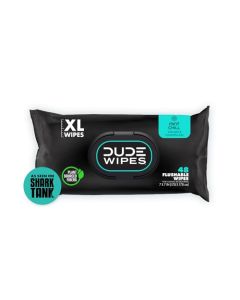 DUDE Wipes Flushable Wipes 1 Pack 48 Count Mint Chill VitaminE Aloe Eucalyptus Tea Tree Oils Septic and Sewer Safe