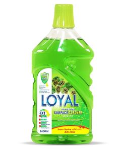Surface Cleaner 2400ML Spring Time