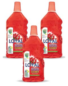 Surface Cleaner 3x2400ML Feast of Flowers
