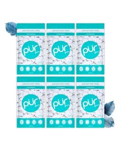 PUR Gum Aspartame Free Chewing Gum 100 Xylitol Natural Wintergreen Flavored Gum 55 Pieces Pack of 6