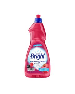 SB DISHWASHING LIQUID BERRIES&POMAGRANATES 725ML