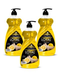 5 in 1 Dishwashing Liquid - Ginger & Lemon 3x1.5L