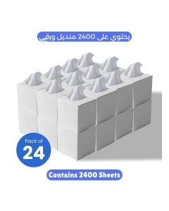 2 Ply Facial Tissue 2400 Sheets in Cube Boxes - Contains 24 Box of 100 Premium Quality Soft and Absorbent Tissues