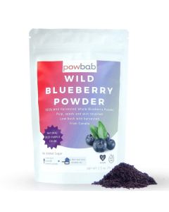 powbab Wild Blueberry Powder 100 Whole Wild Blueberries 70 g Canada Grown Not from Freeze Dried Blueberries Not Blueberry Extract No Juice Concentrate Not Bilberry Pure Fruit Powder NonGMO