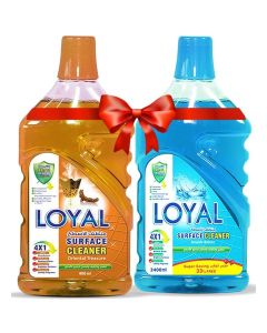 Surface Cleaner 2x2400ml Seaside Breeze + Oriental Treasure