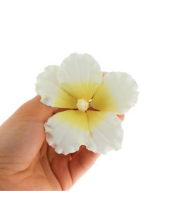 Global Sugar Art Hibiscus Sugar Cake Flowers White with Yellow Hawaiian Cake Flower Large 9 Count by Chef Alan Tetreault