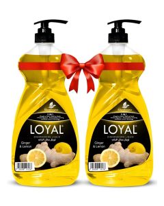 5 in 1 Dishwashing Liquid - Ginger & Lemon 2x1.5L