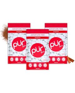 PUR Gum Aspartame Free Chewing Gum 100 Xylitol Natural Cinnamon Flavored Gum 55 Pieces Pack of 3