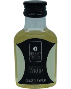 Blueberry Roasters Ginger Syrup - 100 ml Espresso Syrup for Beverages and Desserts