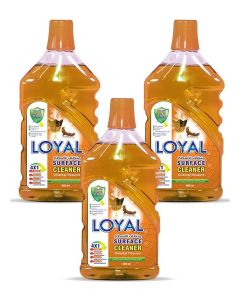 Surface Cleaner 3x2400ML Oriental Treasure