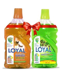 Surface Cleaner 2x2400ml Spring Time + Oriental Treasure