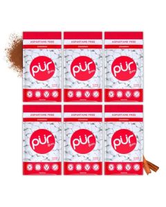 PUR Gum Aspartame Free Chewing Gum 100 Xylitol Natural Cinnamon Flavored Gum 55 Pieces Pack of 6