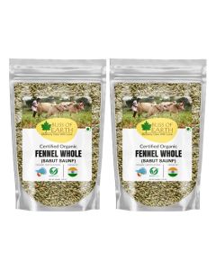Certified Organic Fennel seed (Saunf) Indian Spice Fresh & Sweet Great for Weight loss / digestive health or Cooking (2x200gm)