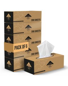 Nice Touch 2-Ply Facial Tissue Pack of 6