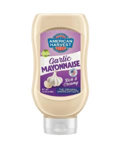 Garlic Mayonnaise Squeeze Bottle