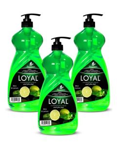 5 in 1 Dishwashing Liquid - Mint & Lemon 3x1.5L