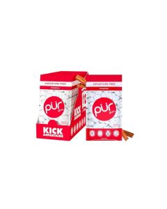PUR Gum Aspartame Free Chewing Gum 100 Xylitol Natural Cinnamon Flavored Gum 55 Pieces Pack of 12