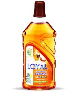 Surface Cleaner 800ML Oriental Treasure