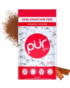 PUR Gum / Sugar Free Chewing Gum / 100% Xylitol / Vegan, Aspartame Free, Gluten Free & Diabetic Friendly / Natural Cinnamon Flavored Gum, 55 Pieces (Pack of 1)