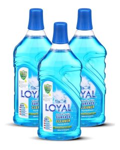 Surface Cleaner 3x800ML Seaside Breeze