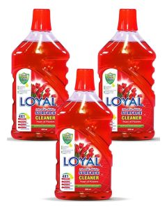 Surface Cleaner 3x800ML Feast of Flowers