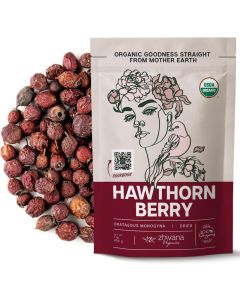 Zhivana Organics Dried Hawthorn Berry Tea - 1LB for Heart Health and Blood Pressure Support