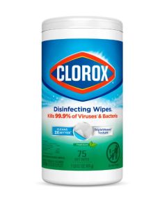 Disinfecting Fresh Scent Wet Wipes 75 Count