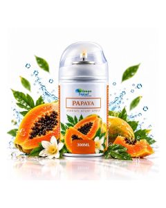 Air Freshener Spray – Long Lasting Room & Fabric Freshener