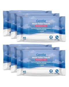 by Amazon Gentle Moist Toilet Tissues, Unscented, Fine to Flush, 240 Count (6 Packs of 40) (Previously Presto!)