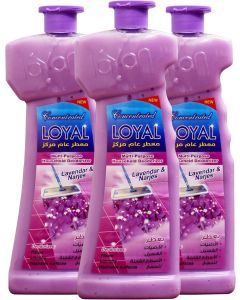 LOYAL Concentrated Multi-Purpose Household Deodorizer,floor cleaning with Lavender & Narjes, 700 ml X3, Pack of 3 combo