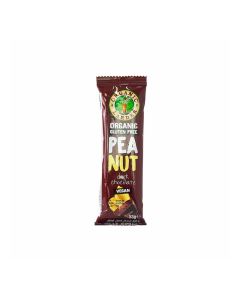 Organic Peanut dark chocolate 53g