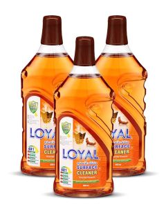 Surface Cleaner 3x800ML Oriental Treasure