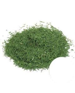 Starwest Botanicals Organic Dill Weed CS 1 Pound