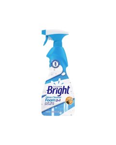 SB GLASS CLEANER FOAM 2 IN 1-750ML
