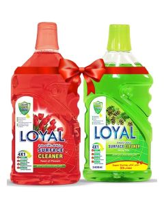 Surface Cleaner 2x2400ml Spring Time + Feast of Flowers
