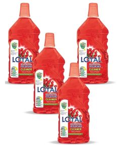 Surface Cleaner 4x2400ML Feast of Flowers
