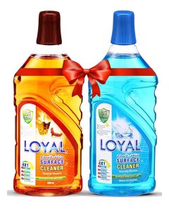Surface Cleaner 2x800mlL Seaside Breeze + Oriental Treasure