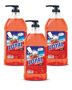 Dishwashing Liquid - Strawberry and Pomegranate 3x2000ml