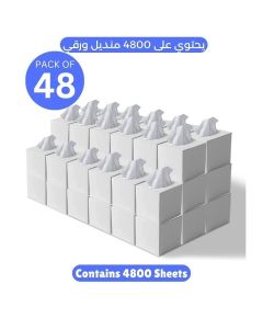 Nice Touch Facial Tissue - 2-Ply X 48 Cube Boxes of 100 Sheets Each - 4800 Premium Soft Feel and Absorbent Tissues for All Skin Types and any event