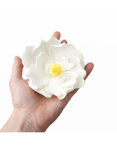 Global Sugar Art Lotus Blossom Sugar Cake Flowers White Jumbo 1 Count by Chef Alan Tetreault