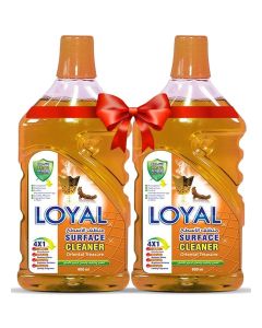Surface Cleaner 2x2400ML Oriental Treasure