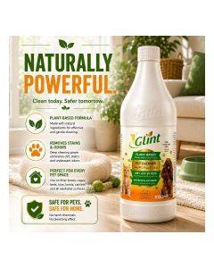 Glint Herbal Pet Cleaner - Plant-Based Stain and Odor Remover - 1000 ml