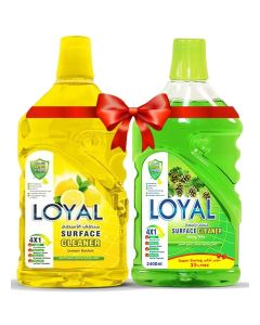 Surface Cleaner 2x2400ml Spring Time + Lemon & Lime