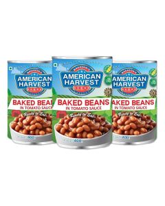 Baked Beans in Tomato Sauce