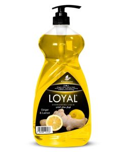 5 in 1 Dishwashing Liquid - Ginger & Lemon 1.5L